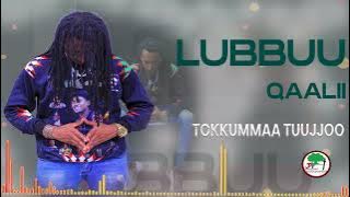 Tokkummaa Tuujjoo. Lubbuu Qaalii New Ethiopian oromo music 2023.(official Video song)