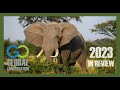 Year in review 2023 global conservation