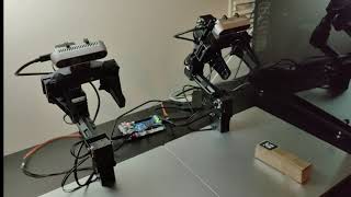 Collaborative Tasks of a Dual Arm Robotic System