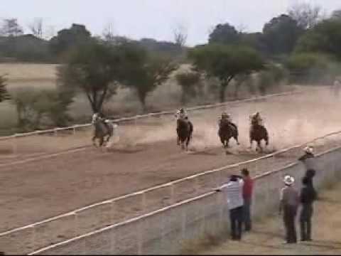 cuarterola en dolores el silencioso