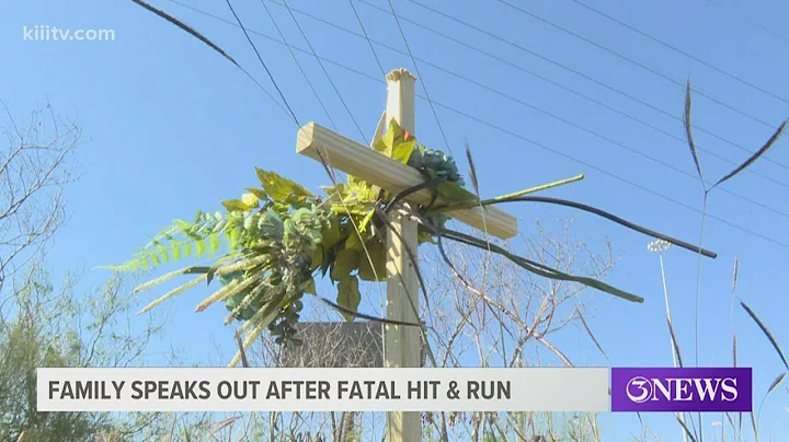 Family speaks out after fatal hit and run