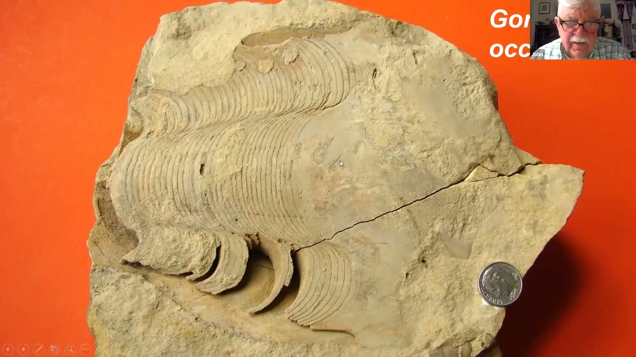 ESCONI Paleontology Meeting - May 2025 "Platteville Oncocerid Nautiloids: Mohawkian Sea Floor"