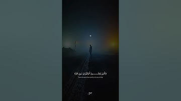 عبد الرحمن مسعد ( سورة البقرة) واذ قال ابراهيم رب أرني كيف تحيي الموتي