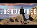 Solo Trip to Joshua Tree 🚗 | Solo Trip Vlog