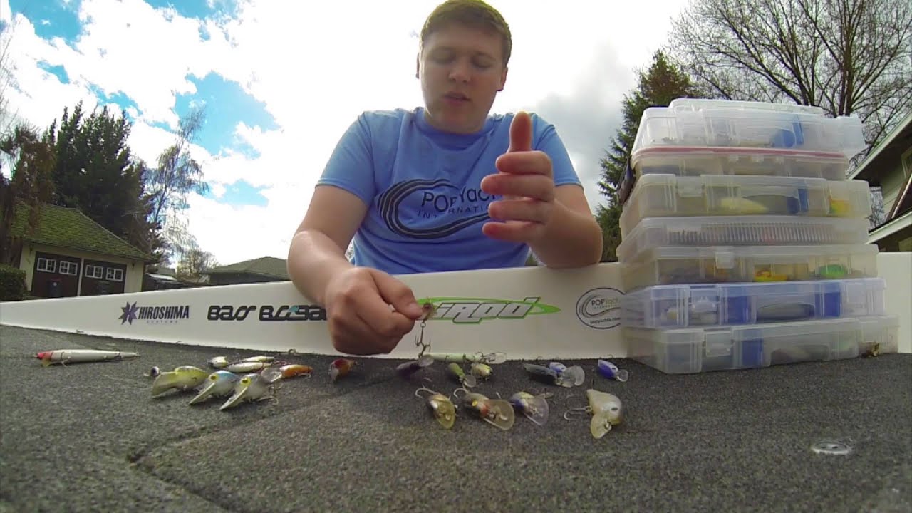 Cold Water Reaction Bait Tactics YouTube