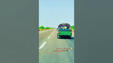 شوتی سراوان بلوچستان شوتی بلوچ قاچاقچی مجبور سوخت 