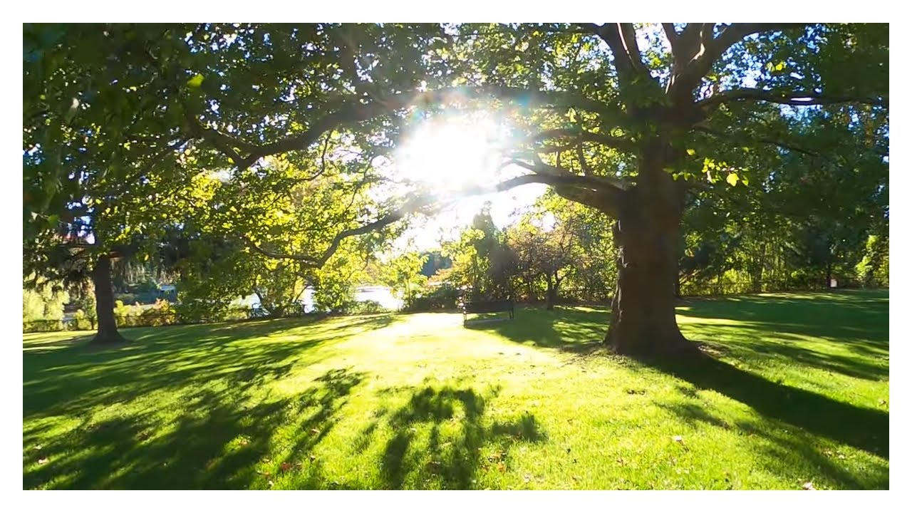 2022-10-08 Walk - Stoneham, Woburn, & Winchester, MA