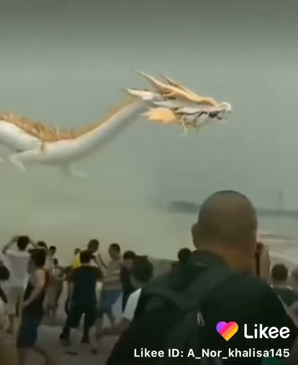 Penampakan Naga Asli di laut