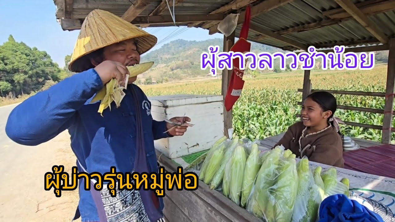 #funny กลับจากลาวเหนือ #บรรยากาศ #วิถีชาวบ้านสวน#สตอรี่  ลูกใหญ่ๆ ระหว่างเดินทาง #สาวลาว #เที่ยวลาว