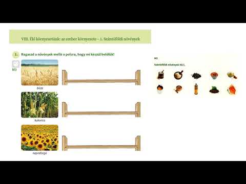 Videó: Szántóföldi Rigó - A Szántóföldi Rovar Növény Hasznos Tulajdonsága és Alkalmazása