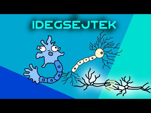 Videó: Az Idegsejtek Regenerálódnak