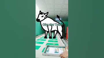 In Lụa-In Túi Vải Không Dệt