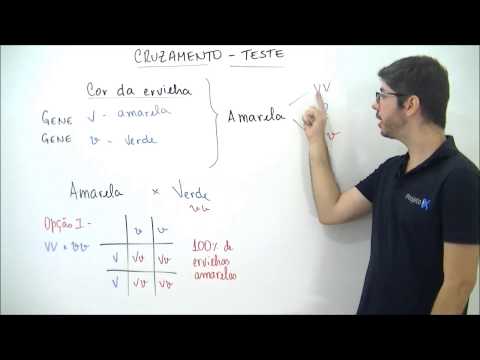 Vídeo: O que é teste cruzado em genética?