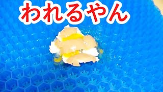 ジェルクッションで卵が割れたんやが。。。