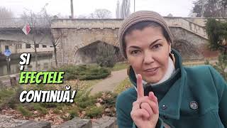 Pisici picate din cer. O lecție de ecologie.