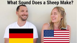 German VS English Animal Sounds (We Can't Stop Laughing)