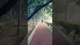 Motorcycle - As The Rush Comes - Guitar Cover #guitar #guitarsolo