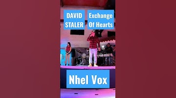 Thumbnail of DAVID SLATER - EXCHANGE OF HEARTS (Nhel Vox cover version)