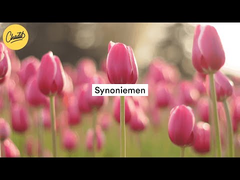 Synoniemen - Mr. Chadd Academy