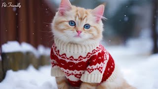 Relaxing Christmas Music For Cat?Soothing Sounds for Cat Relaxation and Deep Sleep