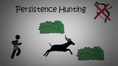 Spark learning and creativity: SPARK by Dr. John Ratey