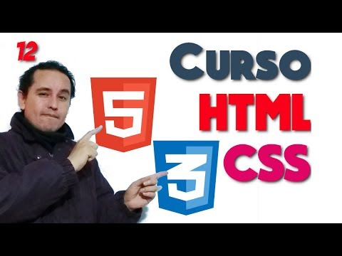 12- HTML y CSS de 0 a 100 [Pseudo-classes ]🌐