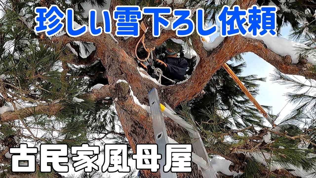 古民家風の母屋と珍しい雪下ろし依頼