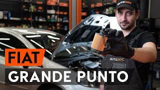 Hvordan bytte Oljefilter FIAT GRANDE PUNTO (199) - online gratis video