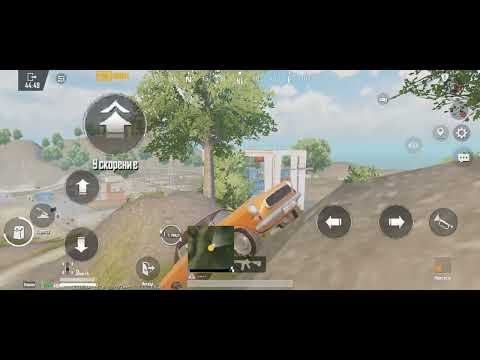 ���� ���������� ������� �������: ����.