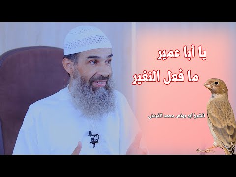 شرح حديث يا أبا عمير ما فعل النغير محاضرة شيقة لفضيلة الشيخ أبي يونس محمد الفرعني