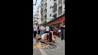 You compensate me for the eggs. Positive energy funny videos