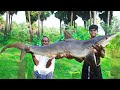 40 kg MONSTER SNAKE SHARK FISH PUTTU | BIG SHARK FISH CUTTING SKILLS | Village Grandpa Karuppasami