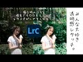 透明感レタッチ〜夏Ver. Lightroom Photo Editing II-59 | RGB Tone curve Before and After
