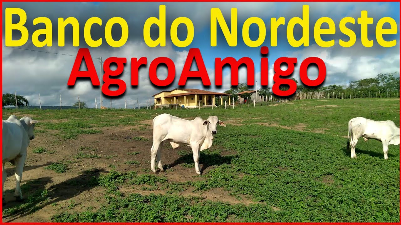 AgroAmigo - Empréstimo rural do Banco do Nordeste -