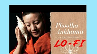 Phool Ko Aanka Machillnepali Lofi 3Am Vibesmr Shanks
