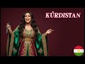 أغنية كوردستانية كوردستان روحي 