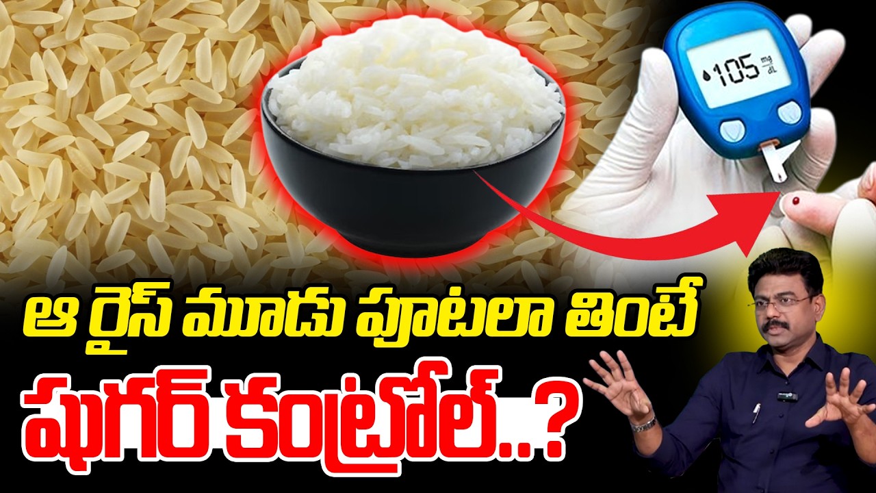 Sugar Control Rice ఆ రైస్ మూడు పూటలా తింటే షుగర్ కంట్రోల్..? : Sugar Control Rice ...