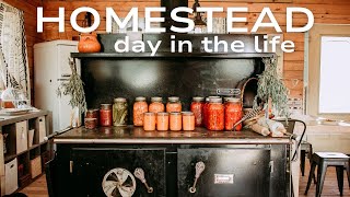 Homestead Day In The Life | Homestead Week in the Life