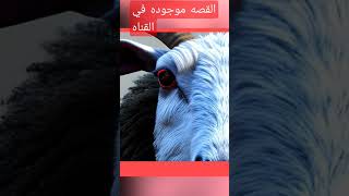 قصة نسل الشيطان | قصه مرعبه ومخيفه جدا لخروف تسكنه روح شريره