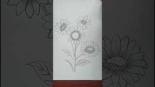 How To Draw A Daisy Flower #daisy #flowers #drawing #shorts #youtubeshorts