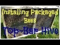 Installing Packaged Bees Into a Top Bar Hive