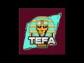 مكس اغاني  | دخله العريس والعروسه |ُ#Tefa_Remix