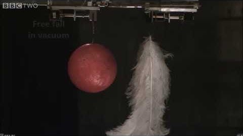 Amazing Free Fall!!!