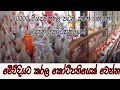 #Egg_Farm_In_Sri_Lanka_බිත්තර_නිෂ්පාදනය