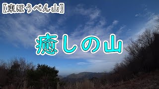 【ソロ登山】1/2～癒しの山で悠々登山～東鳳翩山(山口県)