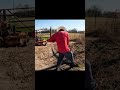 #short #shorts #mowing #edging #cleanup #asmr #satisfying #sbmowing #cleaning #overgrownyard #fypシ