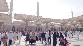 SAUDI TRIP - Eps. 1 Dari Madinah Menuju Mekkah