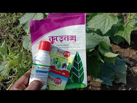 Jinsiy aloqa va afrikalik qizlar