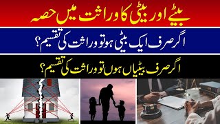 Law of inheritance | How to distribute inherited property?