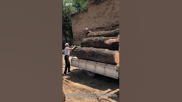 🪵 Log Rolling Genius! Farmer Unloads Truck of Timber with Single Metal Bar ↓
